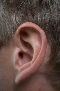 closeup of human ear
