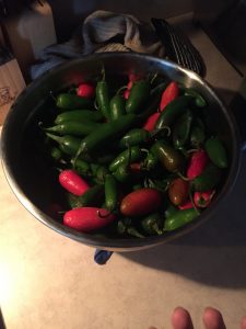 Chili-pepper
